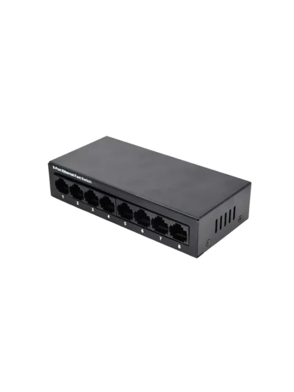 5 Port Switch