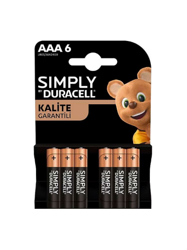 DURACELL AAA